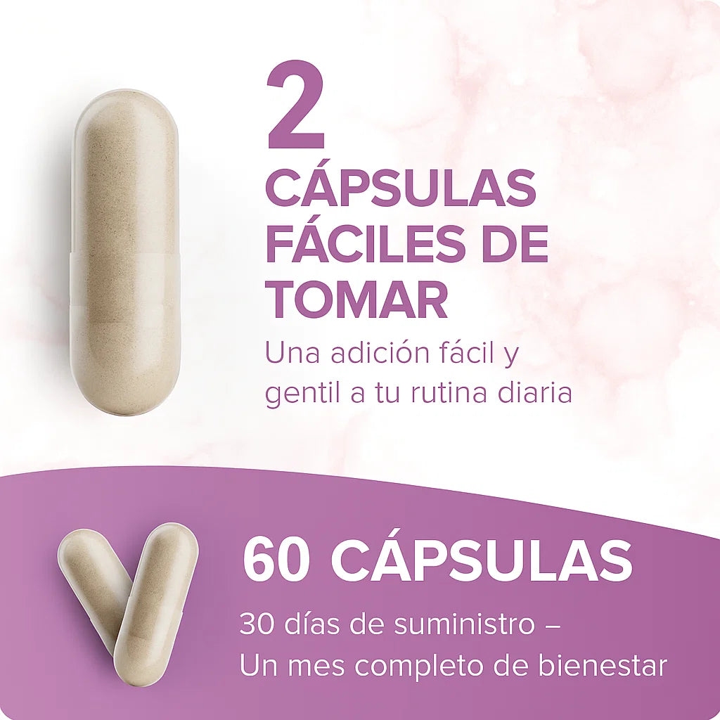 Encabezado